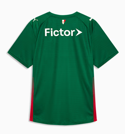 Camisola Palmeiras 26/27 Home Team Verde Masculina