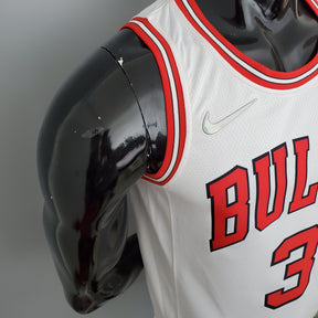 Camisola Chicago Bulls Association Edition 17/23