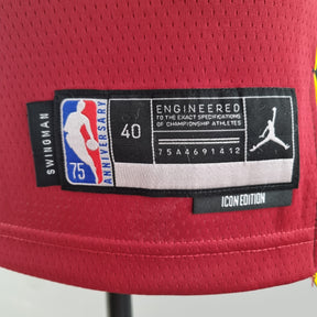 Camisa NBA Miami Heat #3 Wade - 75° Aniversário Red