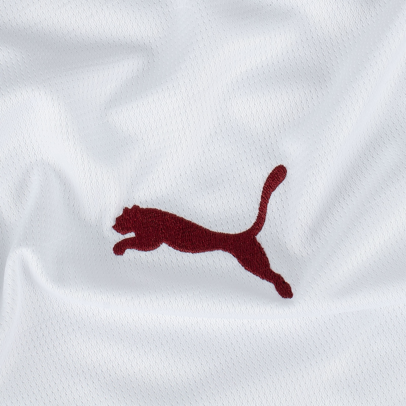 Camisola Fluminense I Away 2026/27 Conceito Puma - Torcedor