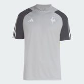 Camisola Atlético Mineiro Treino 24/25 Adidas Masculina Torcedor