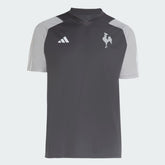 Camisola Atlético Mineiro Treino 24/25 Adidas Masculina Torcedor