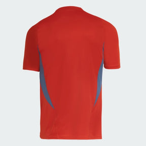 Camisola Cruzeiro Treino 24/25 Adidas Masculina Torcedor
