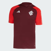 Camisola Internacional 24/25 Adidas Treino Torcedor