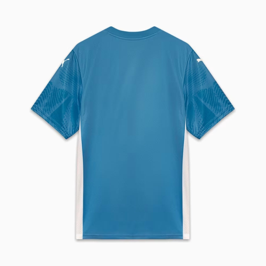 Camisola Palmeiras Goleiro 25/26 Masculino - Lançamento