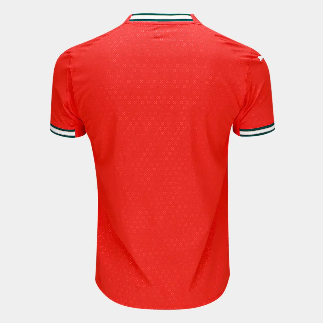 Camisola Seleção Portugal Home 25/26 s/n Puma Masculina - Vermelho