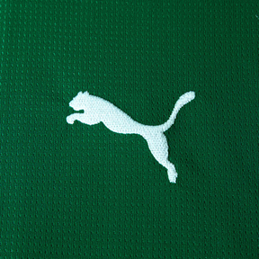 Camisolas Palmeiras 2026/27 Puma - Titular