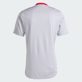 Camisola Adidas Internacional Treino 2025 Cinza