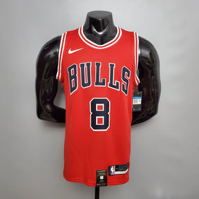 Camisola Chicago Bulls Icon Edition 17/23